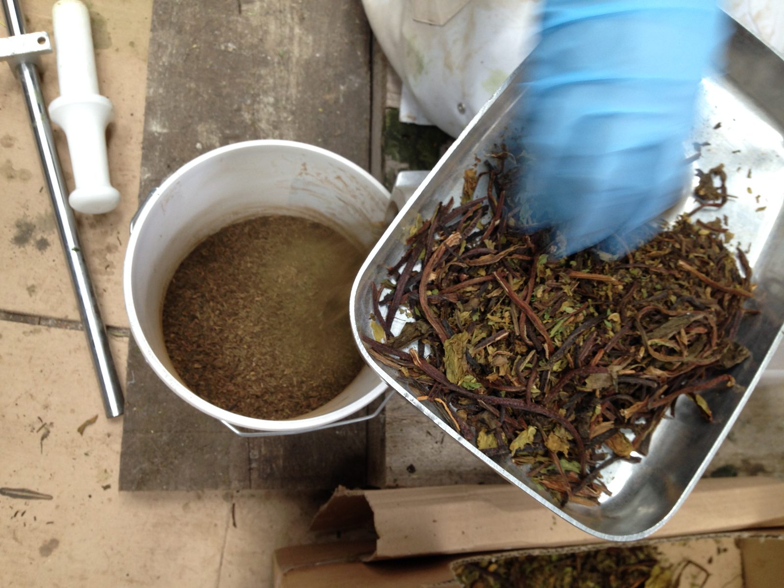 Chopped plant feedstock being added manually to a digester